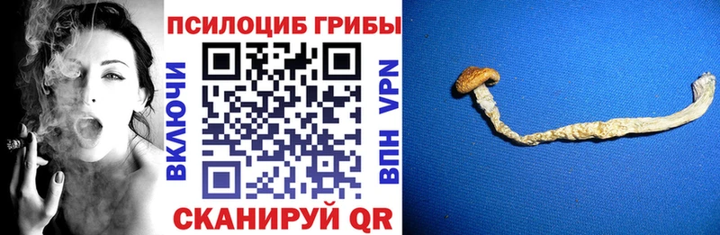 Псилоцибиновые грибы Magic Shrooms  Арск 